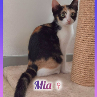 Photo de Mia