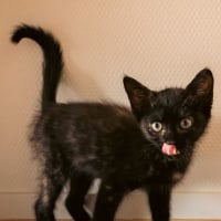 Photo de Henriette