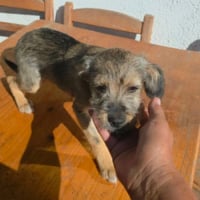 Photo de MICU