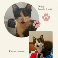 Photo de Noa