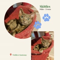 Photo de Skittles