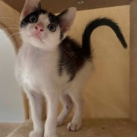 Photo de Luna