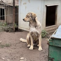 Photo de Rancho