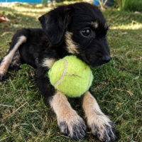 Photo de KAWAI