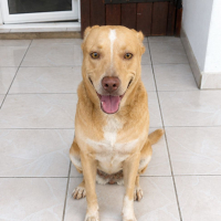 Photo de UMI