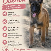 Photo de Bianca