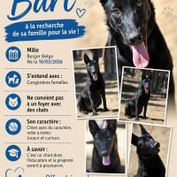 Photo de Bart