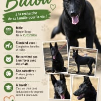 Photo de Balou