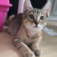 Photo de Storm