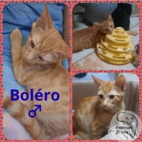 Photo de BOLERO