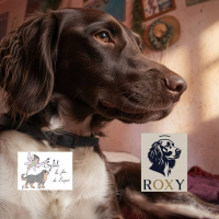 Photo de Roxy