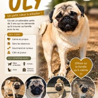 Photo de Uly