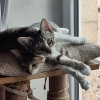 Photo de Marie et Lacy