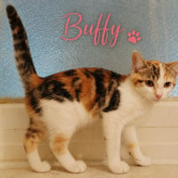 Photo de Buffy