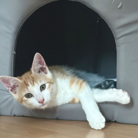 Photo de Bonnie