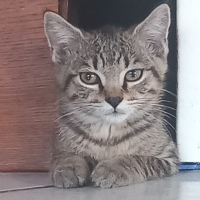 Photo de MISSAK