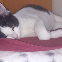 Photo de MÉLINÉE