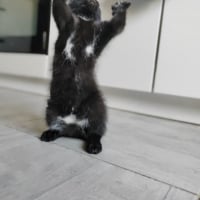 Photo de SKY