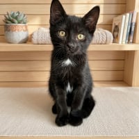 Photo de Nounours 