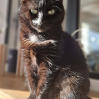 Photo de Luna