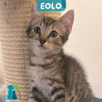 Photo de EOLO
