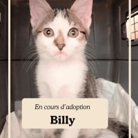 Photo de BILLY