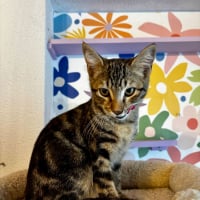 Photo de Barthelemy