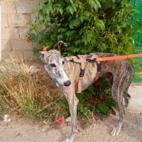 Photo de ARGOS