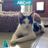 Photo de ARCHY