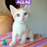 Photo de AGLAE