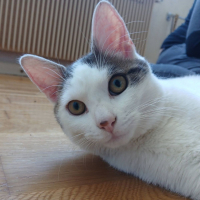Photo de Jean