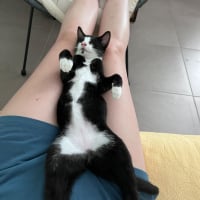 Photo de Bandit