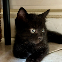 Photo de MINNIE