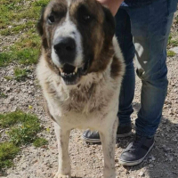 Photo de Titan
