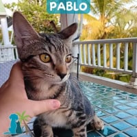 Photo de PABLO