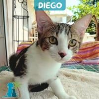 Photo de DIEGO