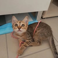 Photo de Bingo