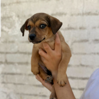 Photo de TITO