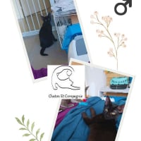 Photo de Bijou