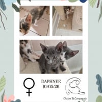 Photo de Daphnée