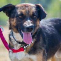 Photo de zeus