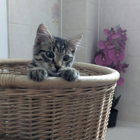 Photo de LENNY