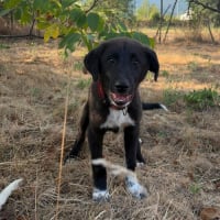Photo de NALA