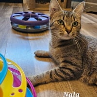 Photo de NALA