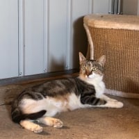 Photo de Aloha