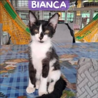 Photo de BIANCA