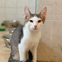 Photo de Ramses