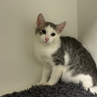 Photo de MILO 