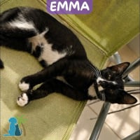 Photo de EMMA