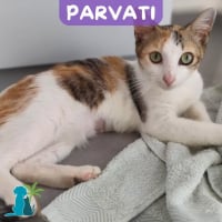 Photo de PARVATI